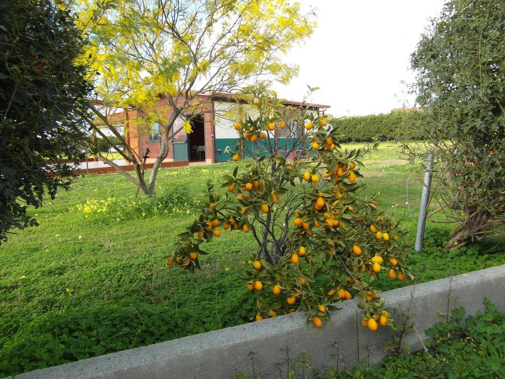 Agriturismo Il Gelsomino Ritrovato 밀라초 외부 사진